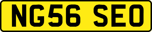 NG56SEO