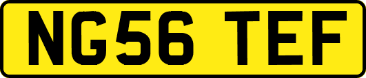 NG56TEF