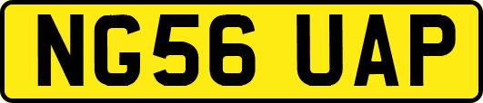 NG56UAP