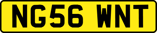 NG56WNT