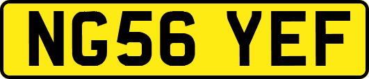 NG56YEF