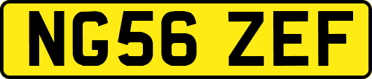 NG56ZEF