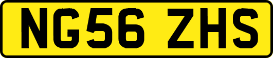 NG56ZHS