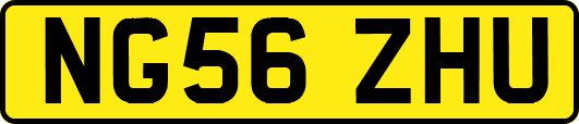 NG56ZHU