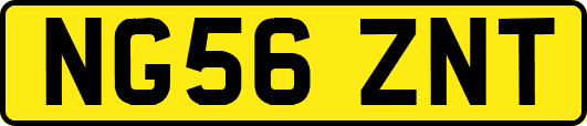 NG56ZNT
