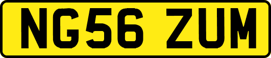 NG56ZUM