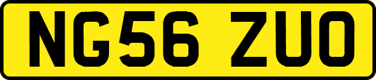 NG56ZUO