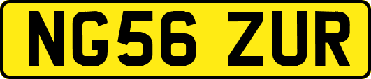 NG56ZUR