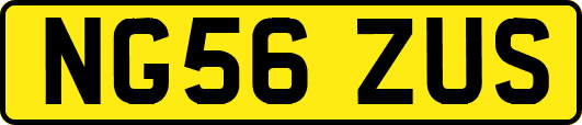 NG56ZUS