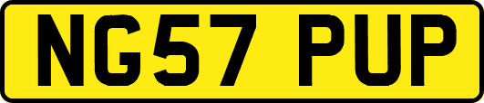 NG57PUP
