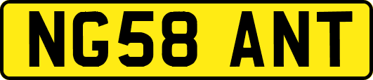 NG58ANT