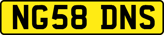 NG58DNS