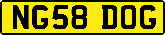 NG58DOG