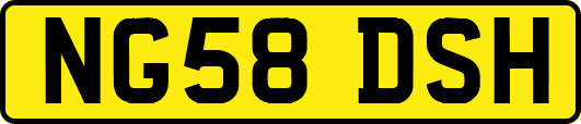 NG58DSH