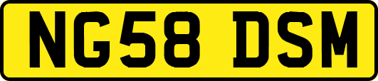 NG58DSM