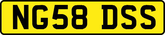 NG58DSS