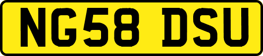 NG58DSU