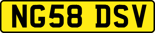 NG58DSV