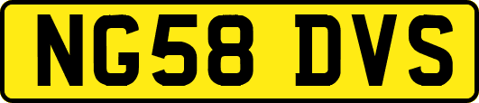 NG58DVS