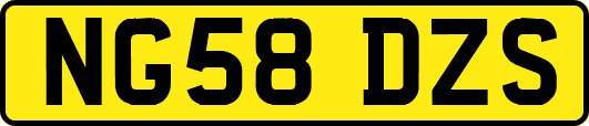 NG58DZS