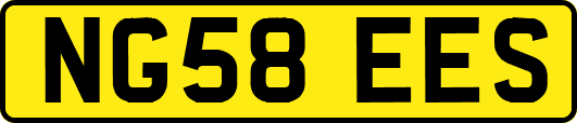 NG58EES