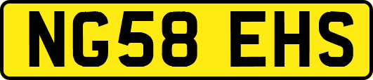 NG58EHS