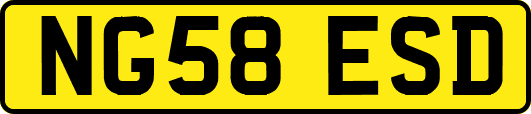 NG58ESD