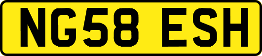 NG58ESH