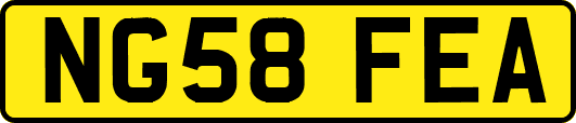 NG58FEA
