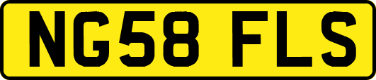 NG58FLS