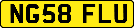 NG58FLU