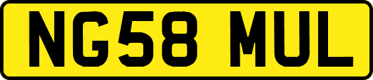 NG58MUL