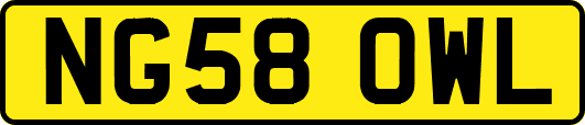 NG58OWL