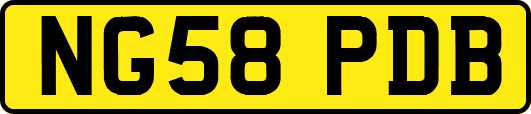 NG58PDB