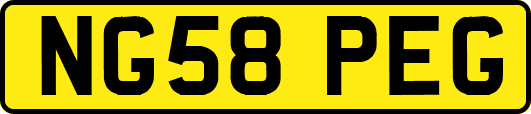 NG58PEG