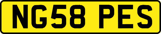 NG58PES