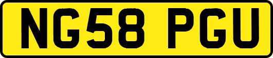 NG58PGU