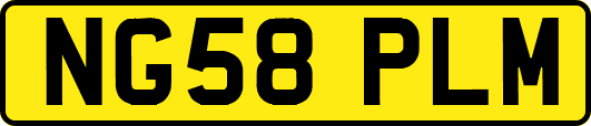 NG58PLM