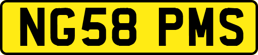 NG58PMS