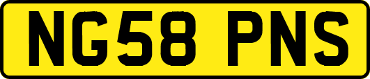 NG58PNS