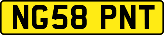 NG58PNT