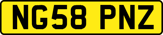NG58PNZ