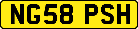 NG58PSH