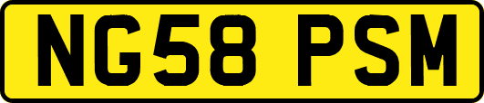 NG58PSM