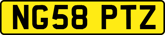 NG58PTZ