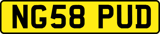 NG58PUD