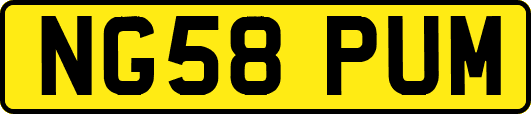 NG58PUM