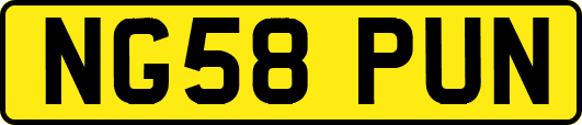 NG58PUN