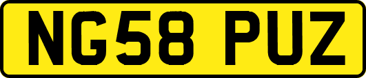 NG58PUZ