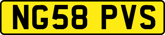 NG58PVS
